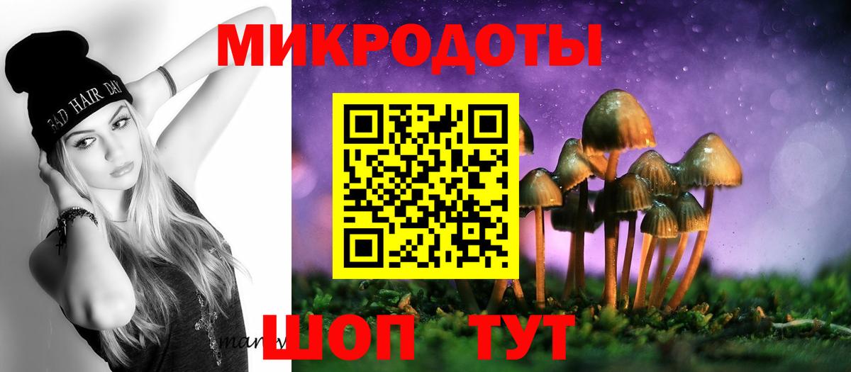 Энгельс  Галлюциногенные грибы мицелий  Псилоцибиновые грибы Psilocybine cubensis  Вход с VPN 